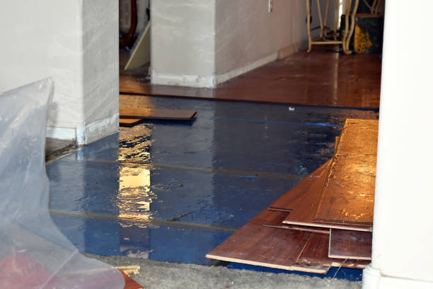 Professional Flood Damage Restoration technician working in Howard, WI